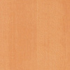 Beech I