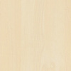 Tundra Birch