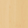 Canada Maple