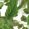 Naturell