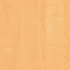 Forest Maple