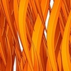 Fly Orange
